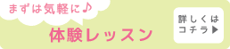 体験レッスンのご案内